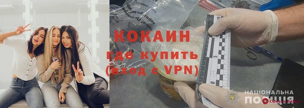 шишки Лагань