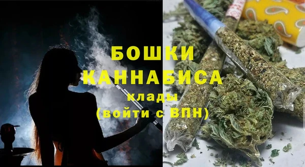 шишки Лагань