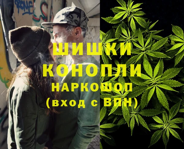шишки Лагань