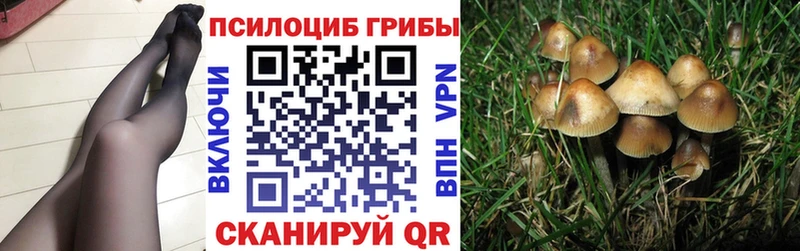 Псилоцибиновые грибы Psilocybine cubensis  купить   Ядрин 